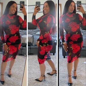 Meet your Posher, Shayla